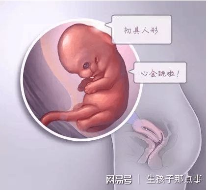素竹生殖医学中心
